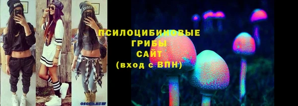 первитин Козельск