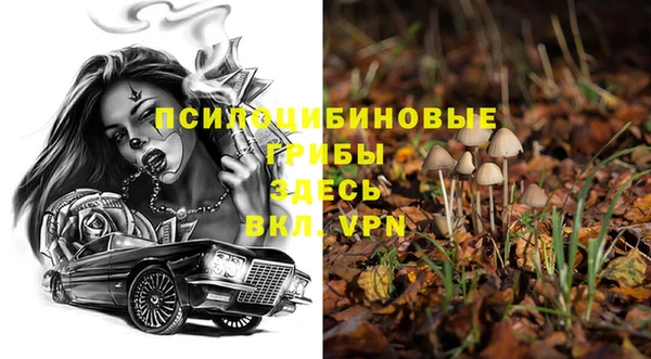 первитин Козельск