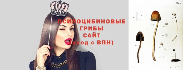 первитин Козельск