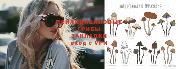 первитин Козельск